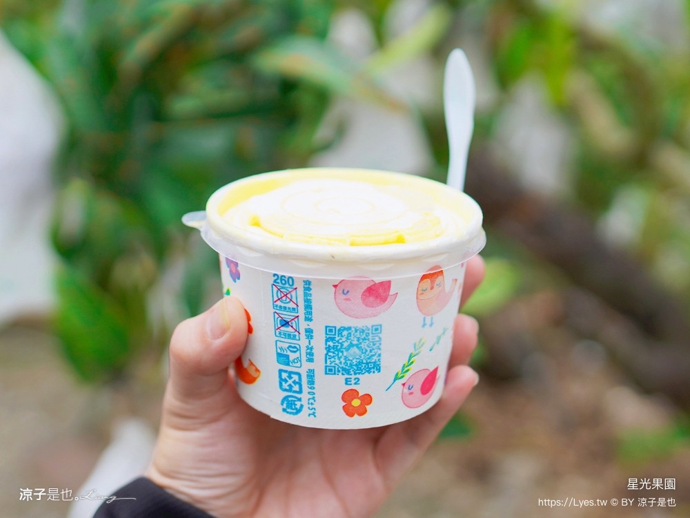 星光 親子景點 免費採果活動 台南農場 台南露營 diy 採芒果體驗 自然的鬥士