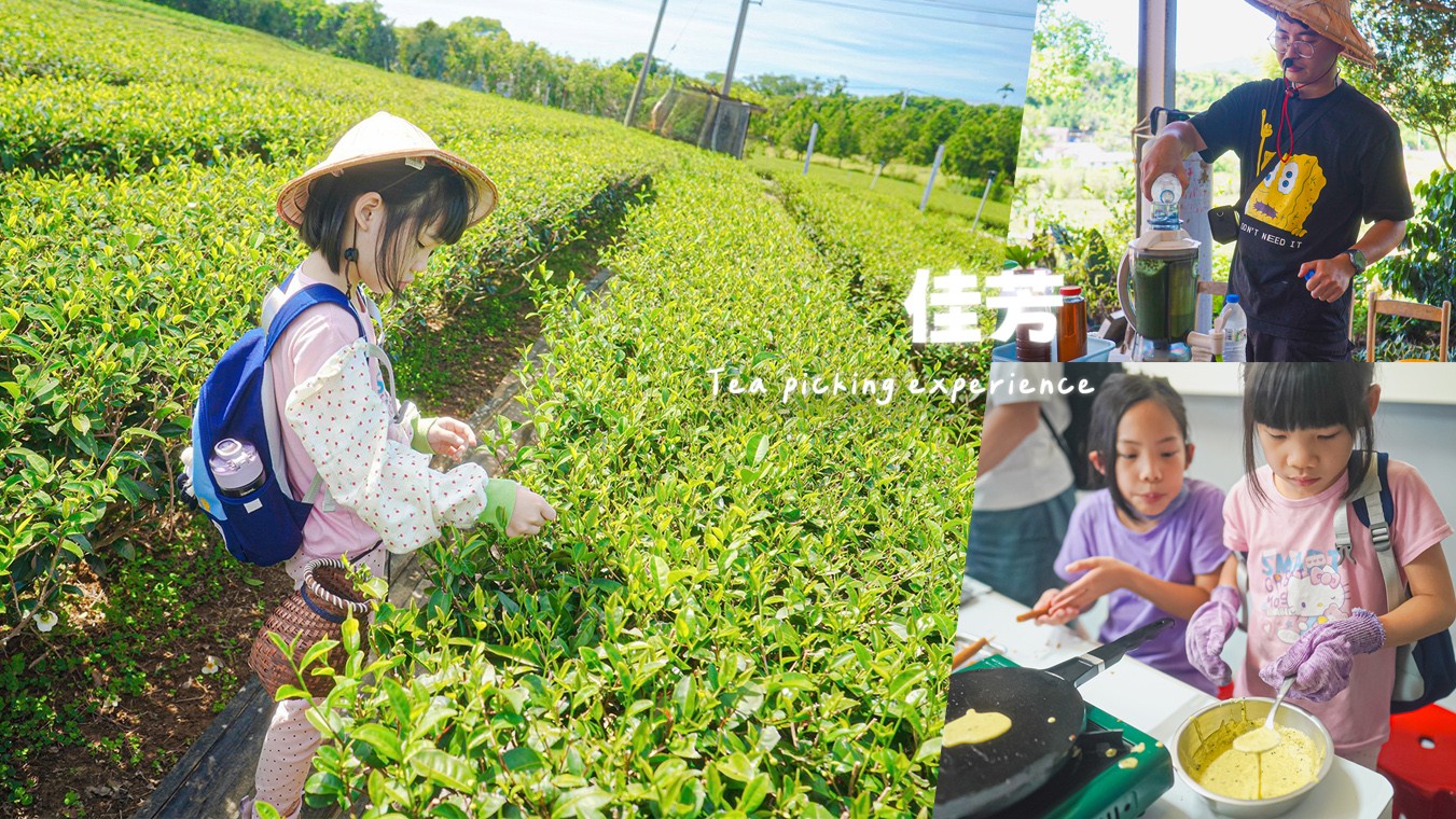 佳芳休閒茶園 台東景點 親子景點 初鹿景點 有機茶園 台東採茶 台東茶園 蛋捲DIY體驗 台東一日遊