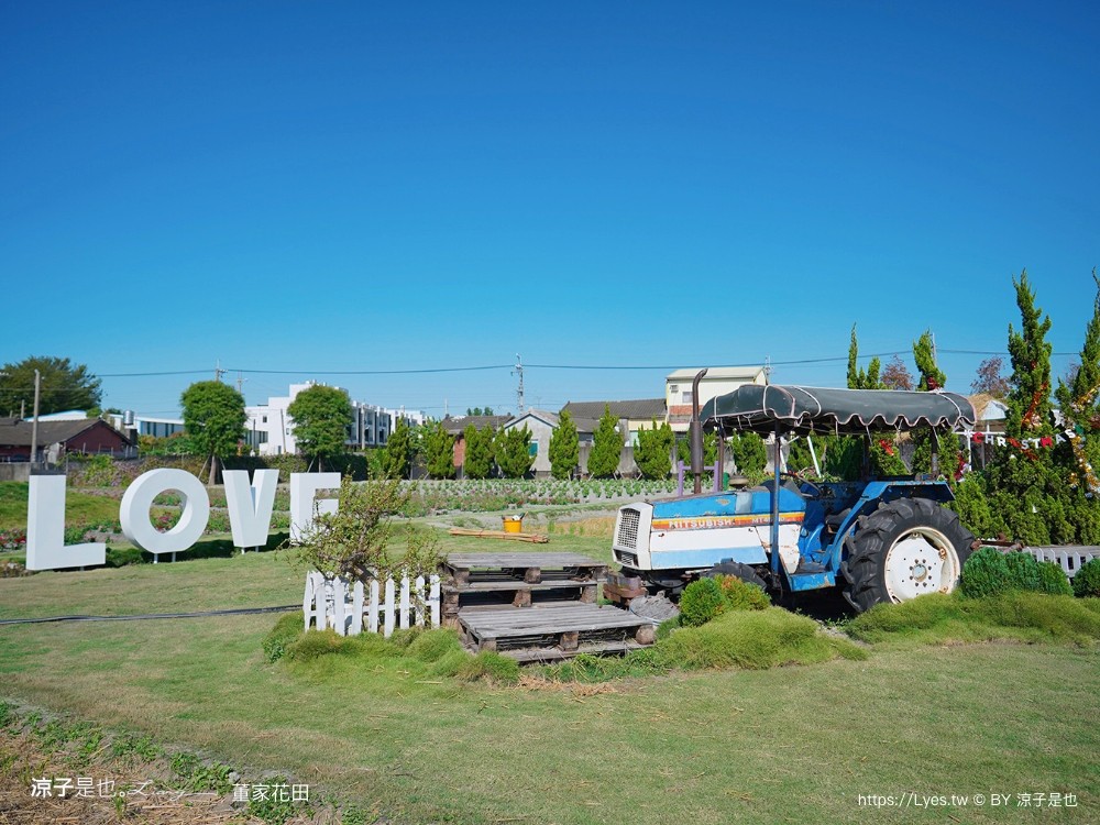 董家花田 菜單 門票 景點 彰化景點 田尾景觀餐廳 花海 戶外野餐 咖啡 交通