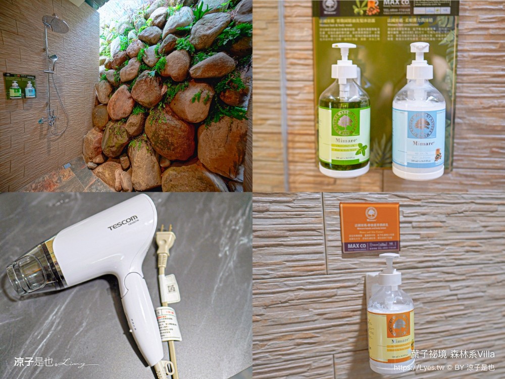 葉子祕境 南投埔里民宿 森林住宿 villa 豪華懶人露營 一泊二食 飯店 netflix disney 日月潭 早餐 晚餐