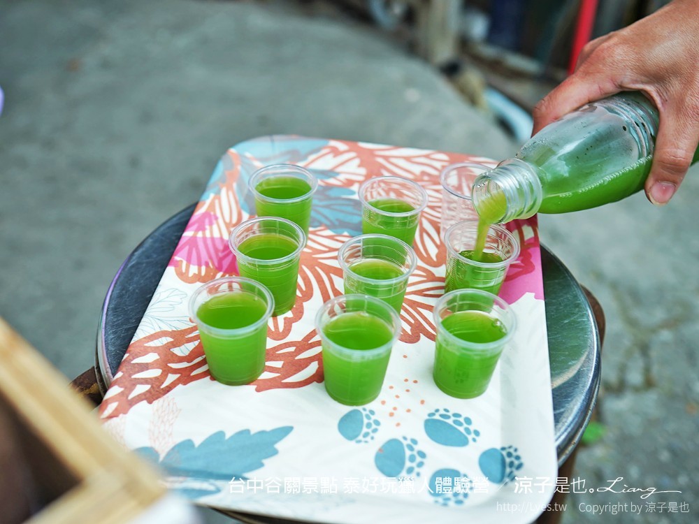 台中谷關景點 泰好玩獵人體驗營