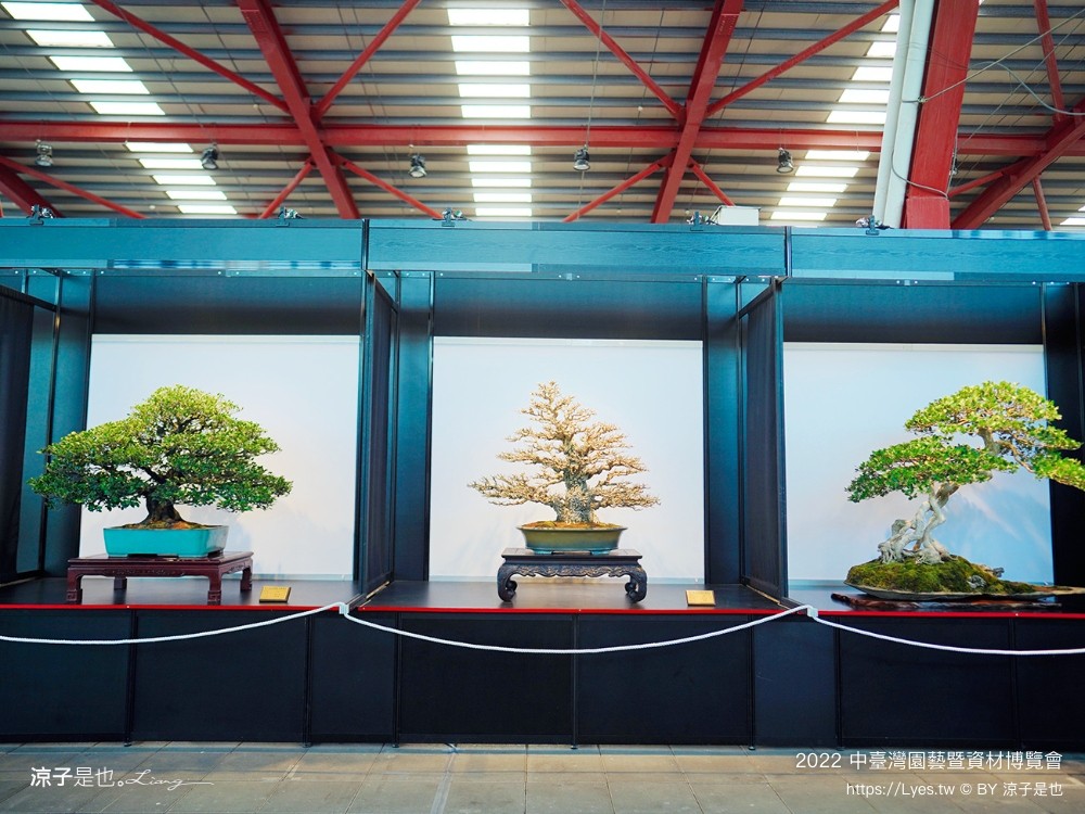 2022中臺灣 氣墊遊戲區 溜滑梯戲水池 農產品展售 美食小吃