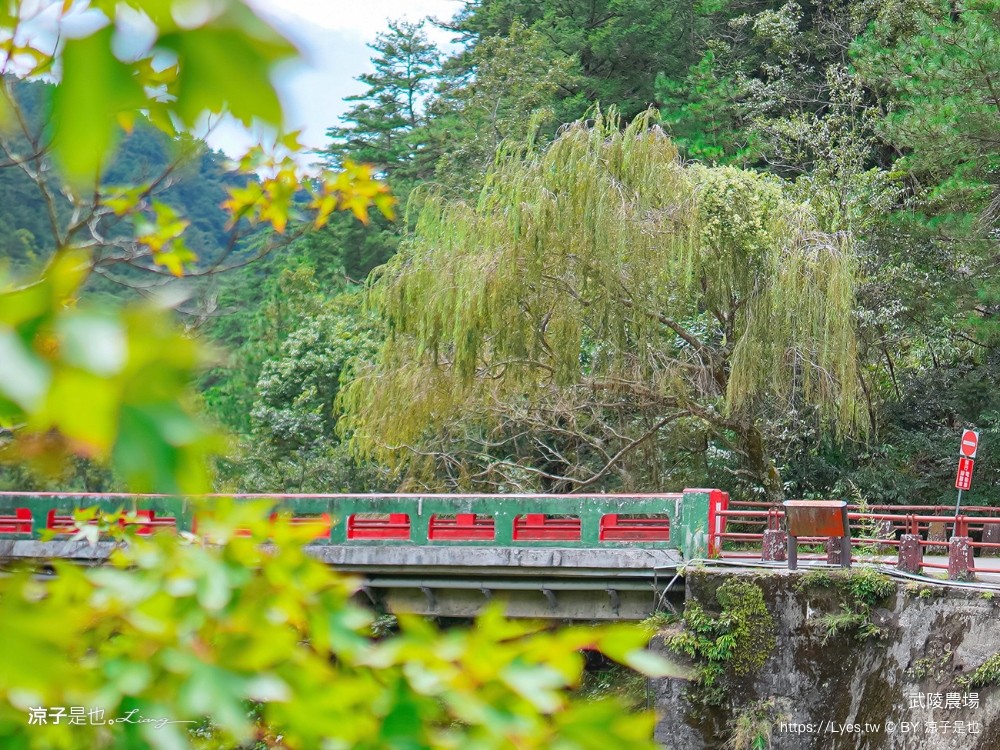 福壽山農場 民宿房型 住宿 露營 賞楓