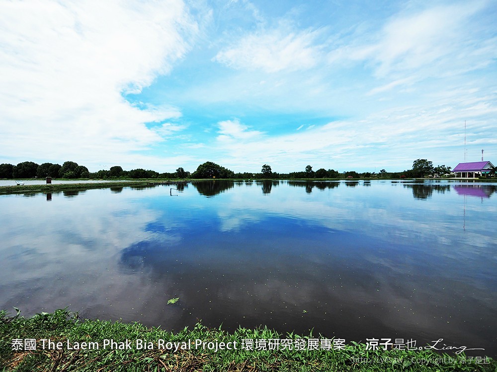 泰國 The Laem Phak Bia Royal Project 環境研究發展專案