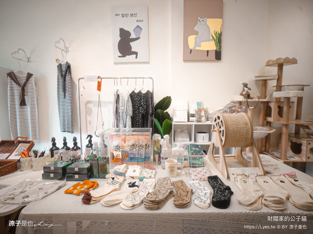 財閥家的公子貓 台南擼貓咖啡廳 台南景點推薦 狐獴 台南親子景點 室內景點 貓咪咖啡館 浣熊 狐獴 袋鼠 球蟒 雪貂 守宮