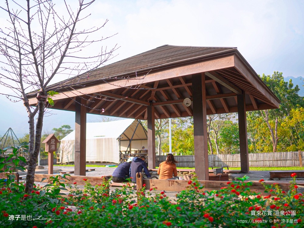 寶來花賞溫泉公園 門票 高雄景點 2025 泡湯 收費 大眾湯 遠山望月溫泉風呂露營區 溫泉景點 停車