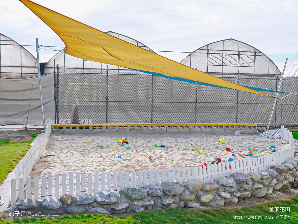 董家花田 菜單 門票 景點 彰化景點 田尾景觀餐廳 花海 戶外野餐 咖啡 交通