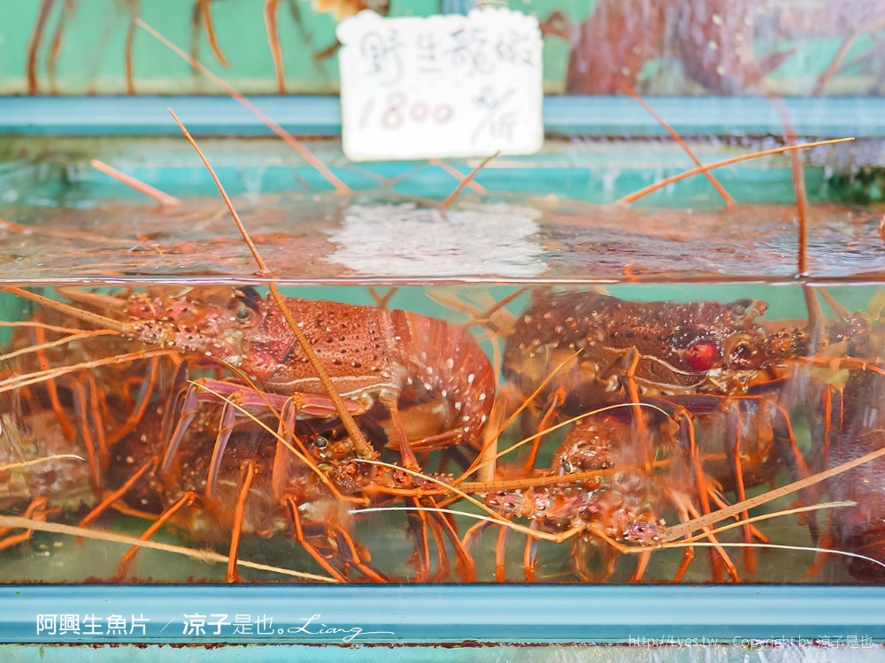 阿興生魚片 菜單 屏東墾丁必吃 後壁湖海鮮美食 餐廳 新鮮生魚片 CP值
