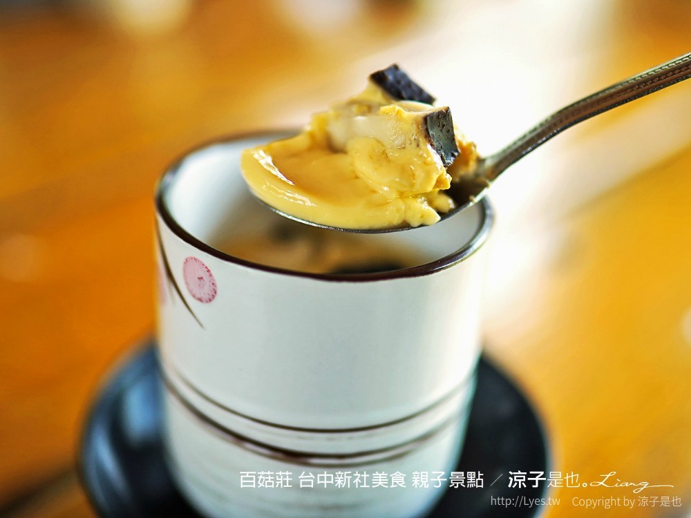 百菇莊 台中新社美食 親子景點