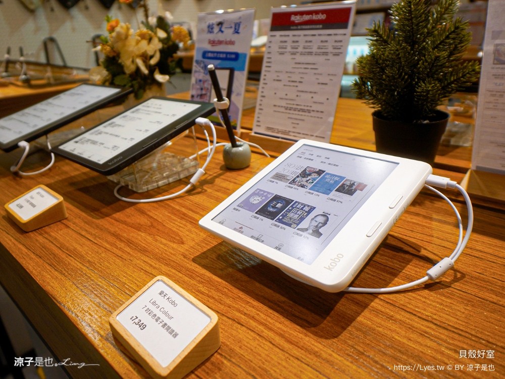 2024臺北古蹟日 漸層臺北 台北景點 李臨秋故居 霞海城煌廟 貝殼好室 新芳春茶行 臺北老屋探險隊 導覽路線 老屋翻新 新北古蹟 老房子文化運動