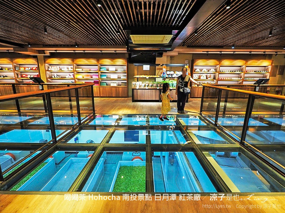 喝喝茶 hohocha 南投景點 日月潭 紅茶廠