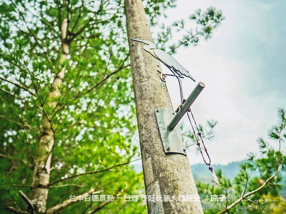 台中谷關景點 一日遊 泰好玩獵人體驗營