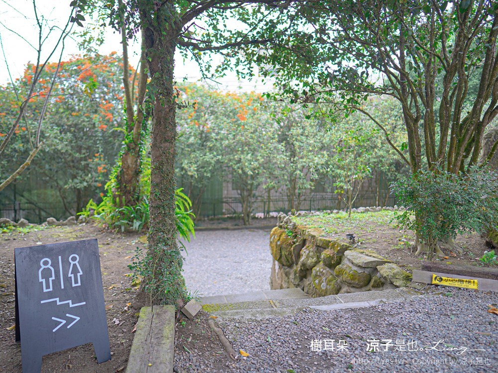 樹耳朵 菜單 台南關仔嶺 甜點咖啡館 景觀餐廳 白河 檸檬塔 假日限定 森林系