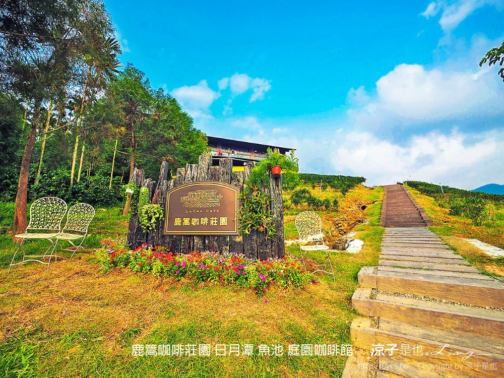 鹿篙咖啡莊園 日月潭 魚池 庭園咖啡館