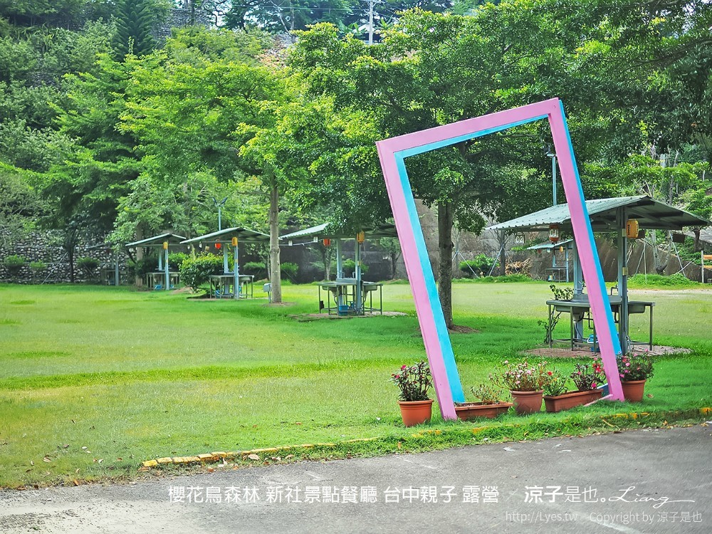 新社景點-櫻花鳥森林 迷你小火車x溜滑梯戲水區x鸚鵡放飛秀x露營 不止花好拍 親子旅遊也好玩！
