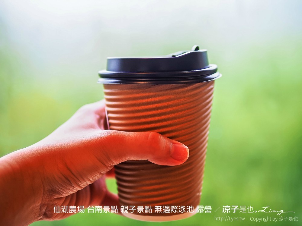 仙湖農場 台南景點 親子景點 無邊際泳池 露營