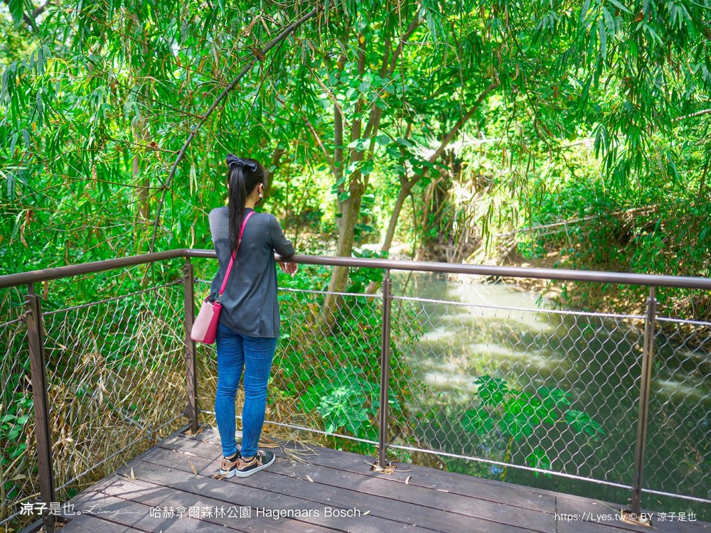 哈赫拿爾森林公園 台南景點 最新公園 森林秘境 開放時間 綠化 生態公園 交通 親子 hagenaars bosch