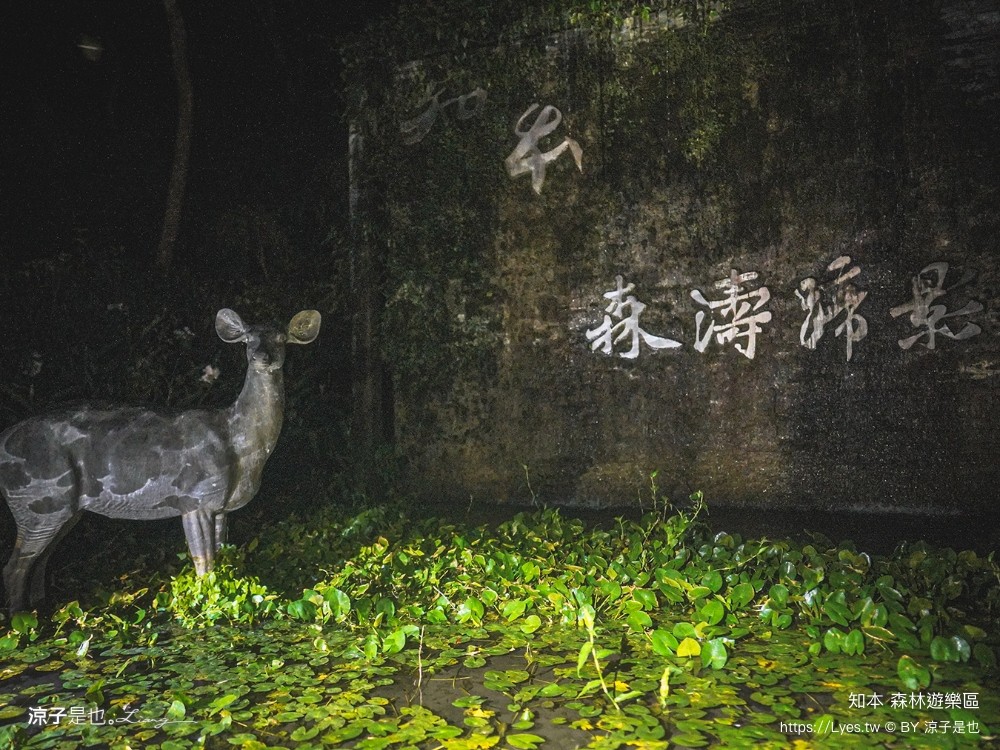 知本森林遊樂區 台東親子景點 夜探知森 夜間導覽 星象導覽 國家森林 台東景點 知本景點
