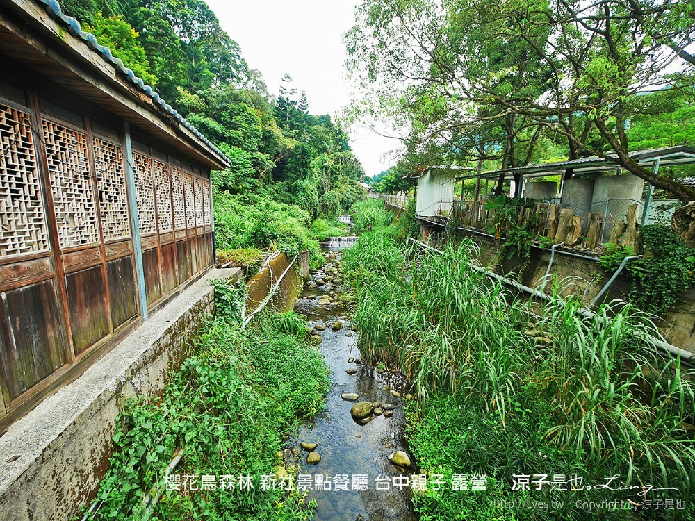 新社景點-櫻花鳥森林 迷你小火車x溜滑梯戲水區x鸚鵡放飛秀x露營 不止花好拍 親子旅遊也好玩！
