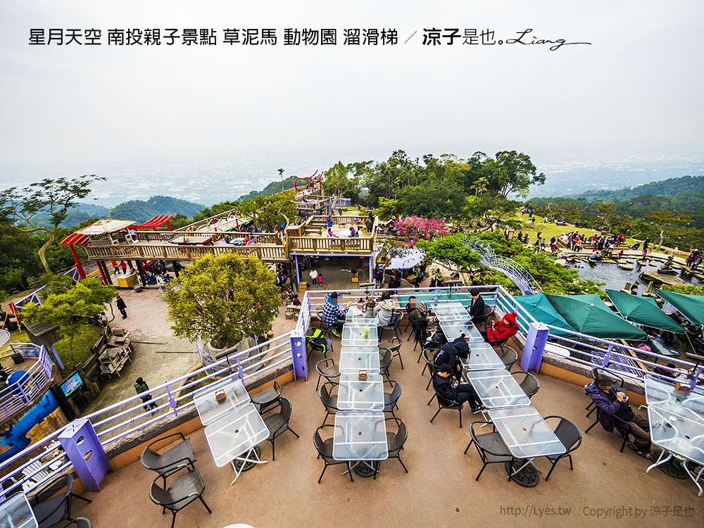 星月天空 南投親子景點 草泥馬 動物園 溜滑梯