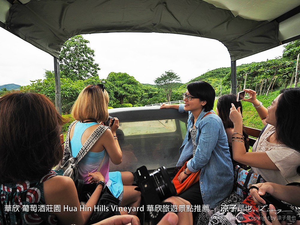 華欣 葡萄酒莊園 Hua Hin Hills Vineyard 華欣旅遊景點推薦