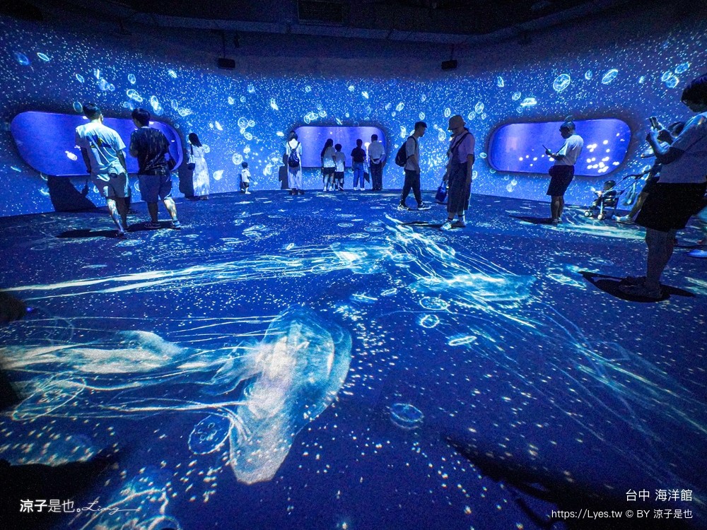 台中海洋館 門票優惠 交通 八大展區 免費票 台中親子景點 台中景點推薦 懶人包 攻略 必看特色