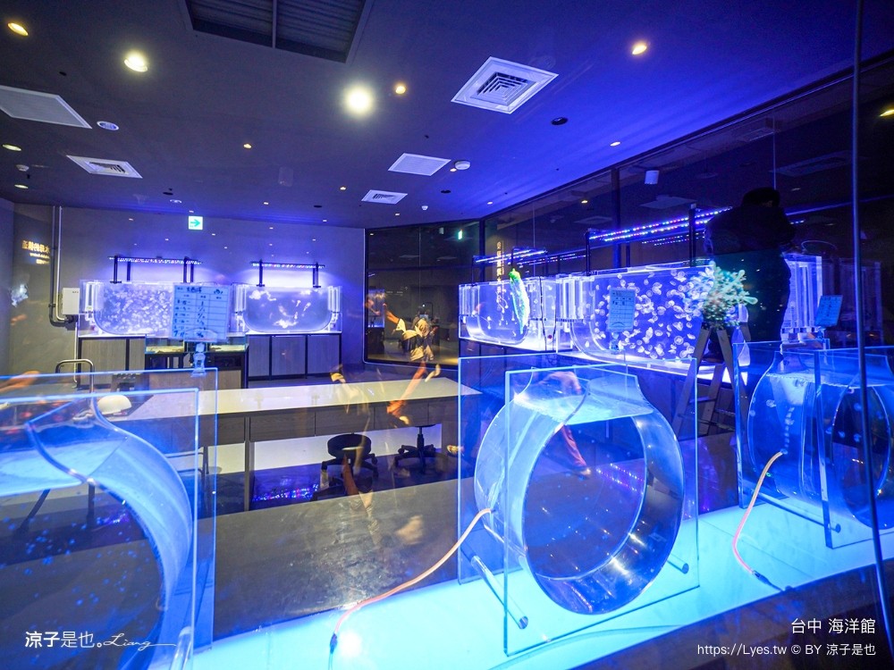 台中海洋館 門票優惠 交通 八大展區 免費票 台中親子景點 台中景點推薦 懶人包 攻略 必看特色
