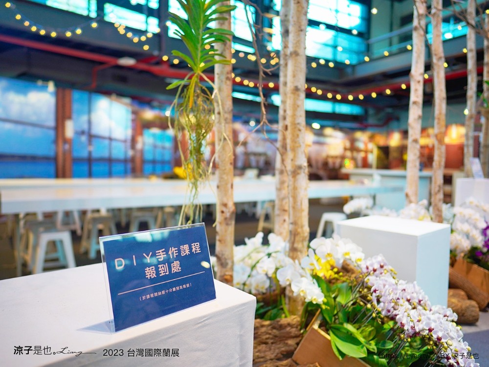 台灣國際蘭展 門票 2023時間 台南景點 魔境 恐龍 親子diy 必看亮點 台南限定蘭花