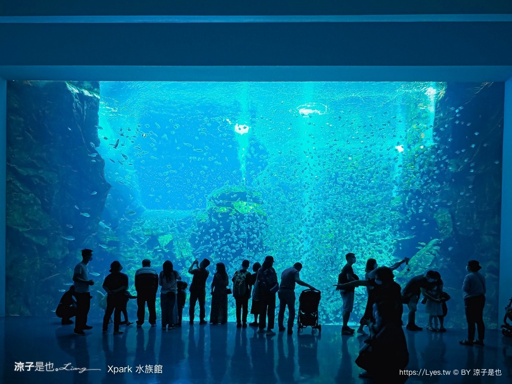xpark水族館 門票優惠 桃園 親子景點 最新攻略 必看展區 美食餐廳 交通 停車 住宿