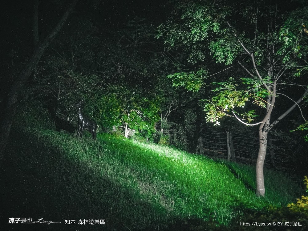 知本森林遊樂區 台東親子景點 夜探知森 夜間導覽 星象導覽 國家森林 台東景點 知本景點