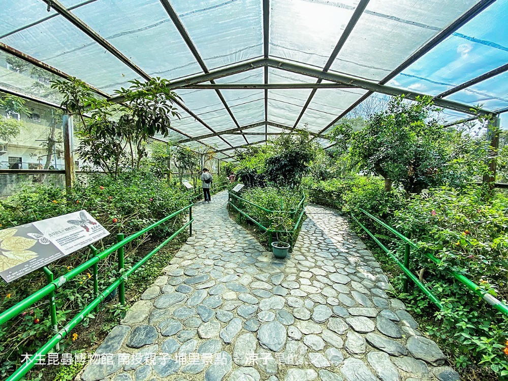 木生昆蟲博物館 南投親子 埔里景點