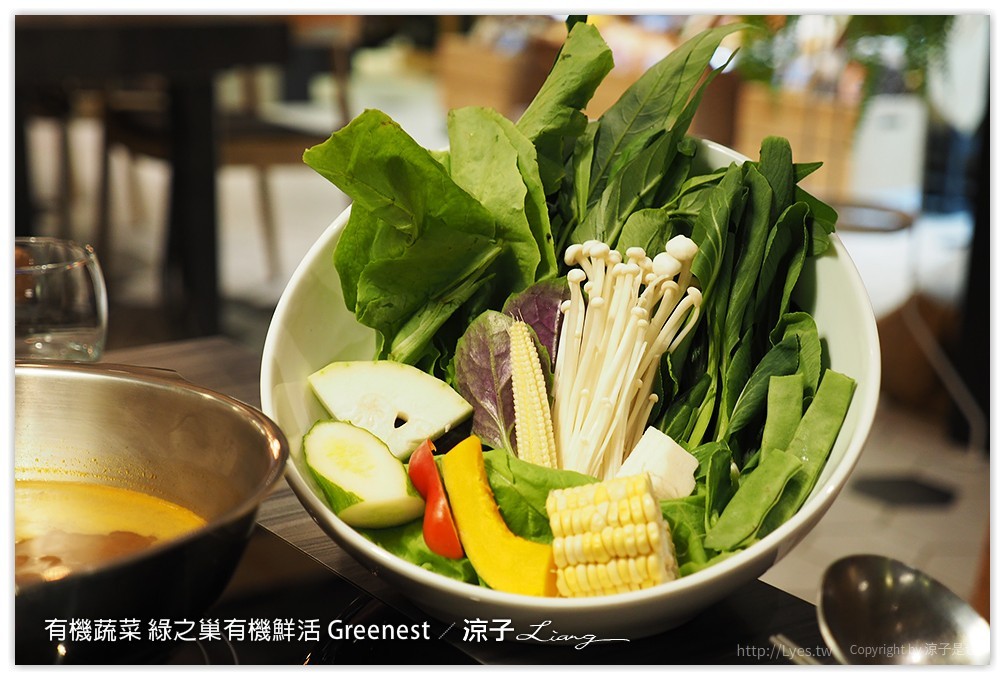 台中-綠之巢有機鮮活Greenest 有機蔬菜與能量豬搭配的健康火鍋