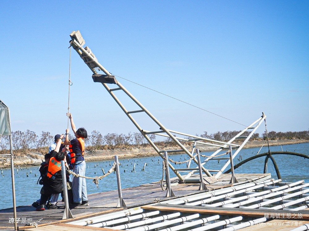 龍海號生態之旅 台南七股景點 台南景點 烤蚵吃到飽 親子景點 台南生態旅遊