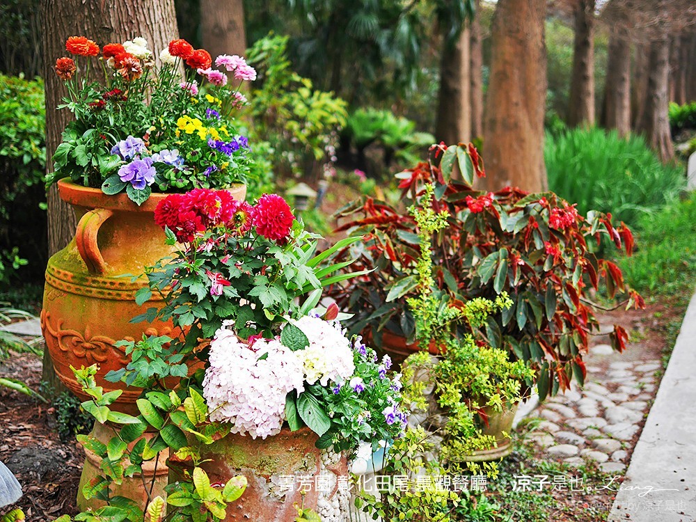 菁芳園 彰化田尾 景觀餐廳