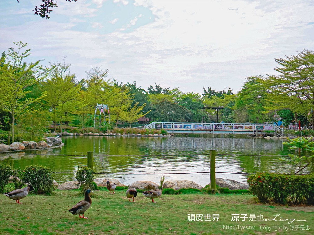頑皮世界野生動物園攻略 門票優惠 台南親子景點 南台灣動物園 水豚君 長頸鹿 遊樂設施 戲水池
