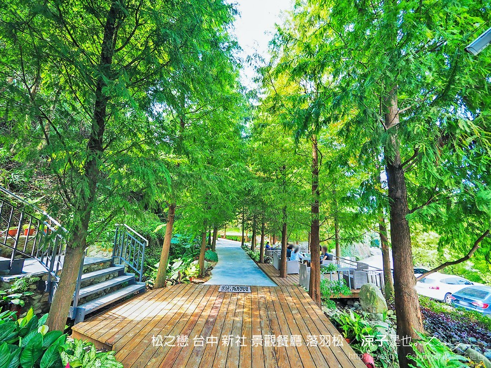 松之戀 台中 新社 景觀餐廳 落羽松