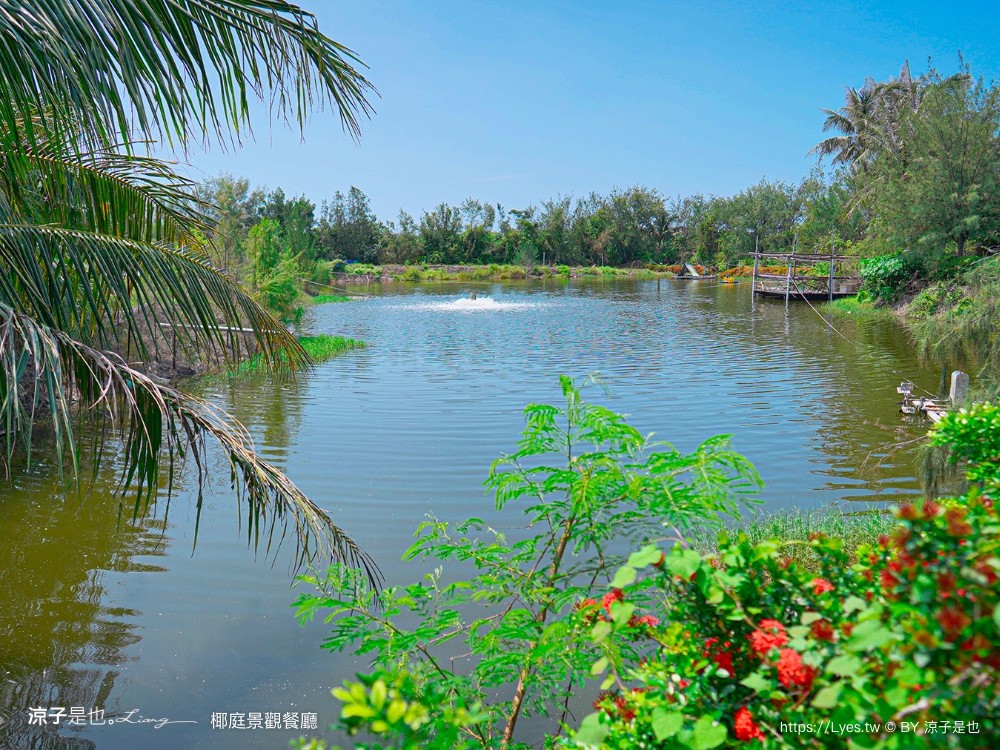 椰庭景觀餐廳 菜單 粉圓冰 蚵仔麵線 四草綠色隧道美食 魚塭改建 台南安南美食 台南景觀餐廳 台南景點 小吃