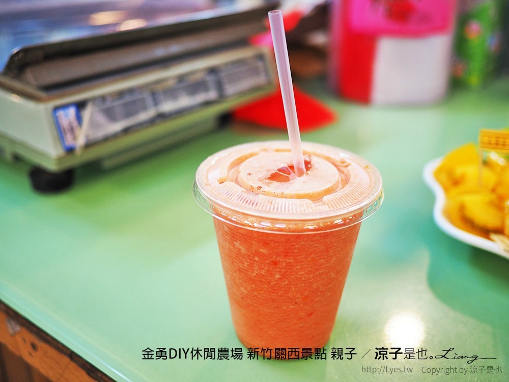 金勇DIY休閒農場 新竹關西景點 親子