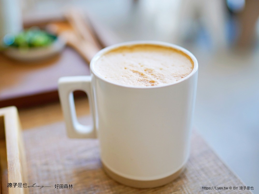 好田森林 菜單 門票 彰化田尾 親子餐廳 親子樂園 恐龍森林 滑草 野餐 玩沙 卡丁車 彰化景點 空中卡丁車