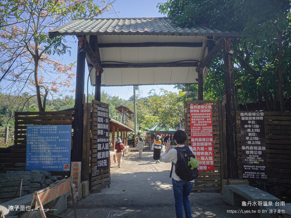 龜丹水哥溫泉區 台南景點 spa 露天溫泉池 花旗木秘境 水哥休閒農事體驗