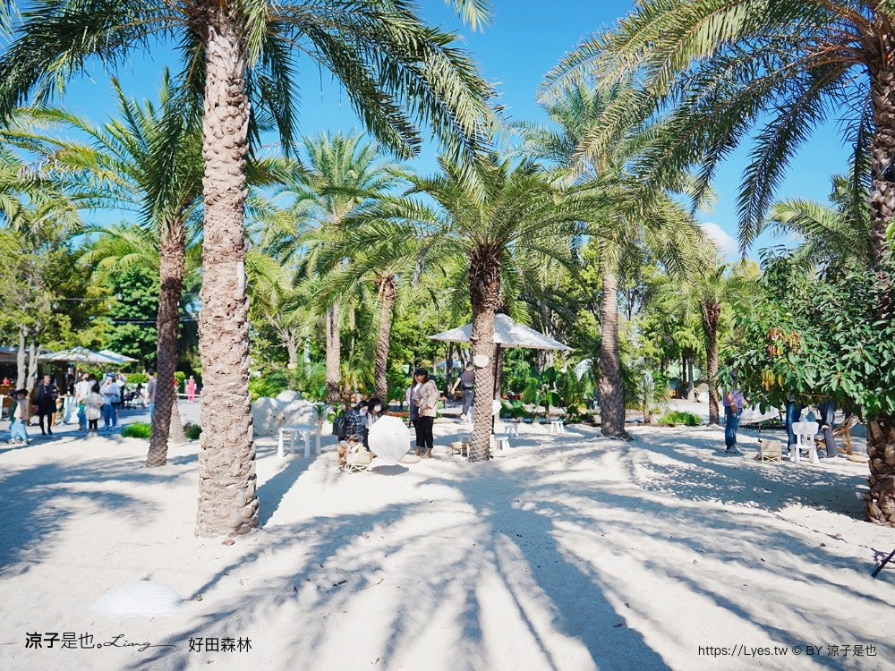 好田森林 菜單 門票 彰化田尾 親子餐廳 親子樂園 恐龍森林 滑草 野餐 玩沙 卡丁車 彰化景點 空中卡丁車