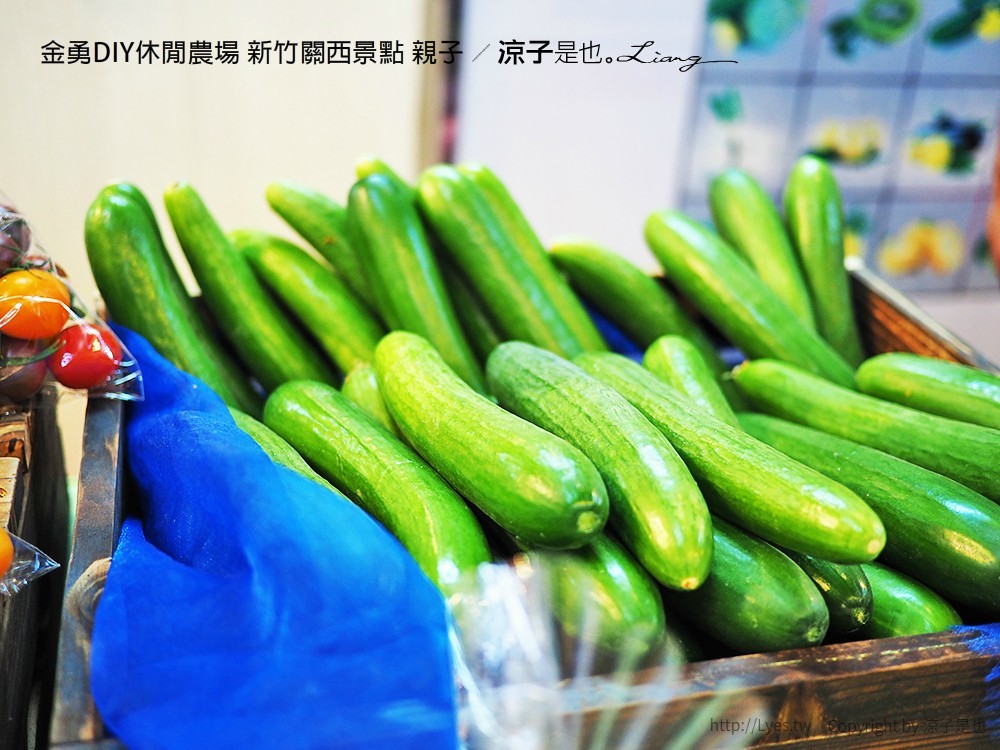 金勇DIY休閒農場 新竹關西景點 親子