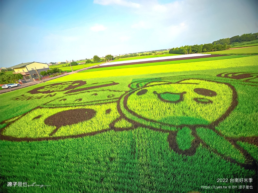2022台南好米季 台南後壁景點 稻田彩繪 貓貓蟲咖波 稻陣走健走活動 網美打卡 親子景點
