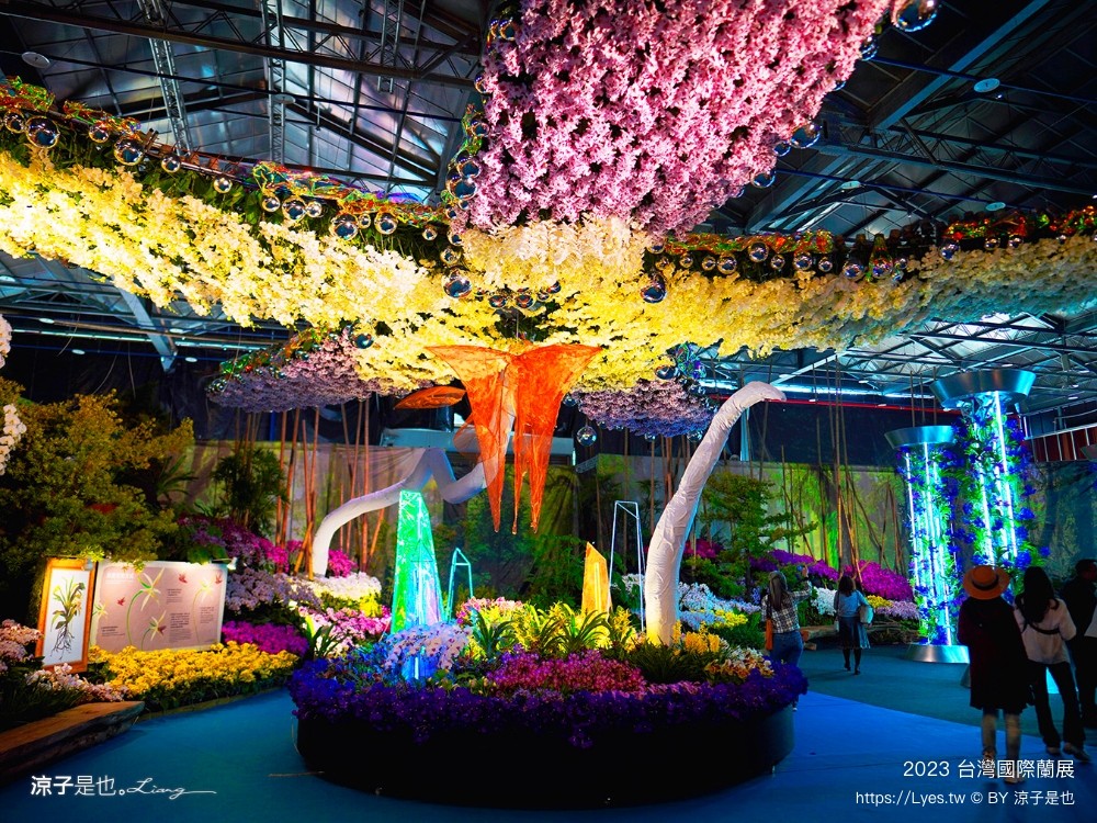 台灣國際蘭展 門票 2023時間 台南景點 魔境 恐龍 親子diy 必看亮點 台南限定蘭花