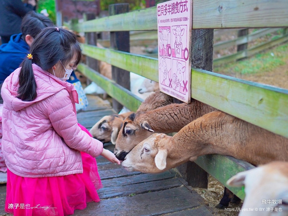 苗栗 飛牛牧場住宿 房型 早餐 四人房 2天1夜 園區門票 票價 苗栗親子飯店推薦