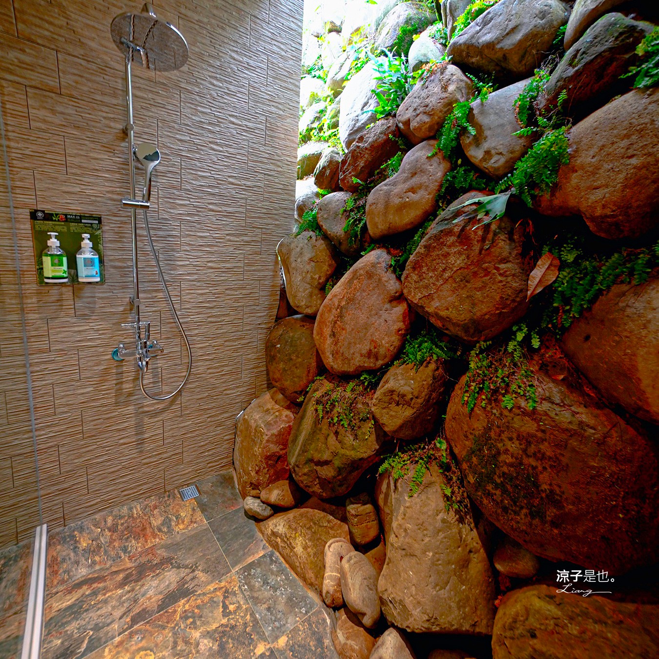 葉子祕境 南投埔里民宿 森林住宿 villa 豪華懶人露營 一泊二食 飯店 netflix disney 日月潭 早餐 晚餐