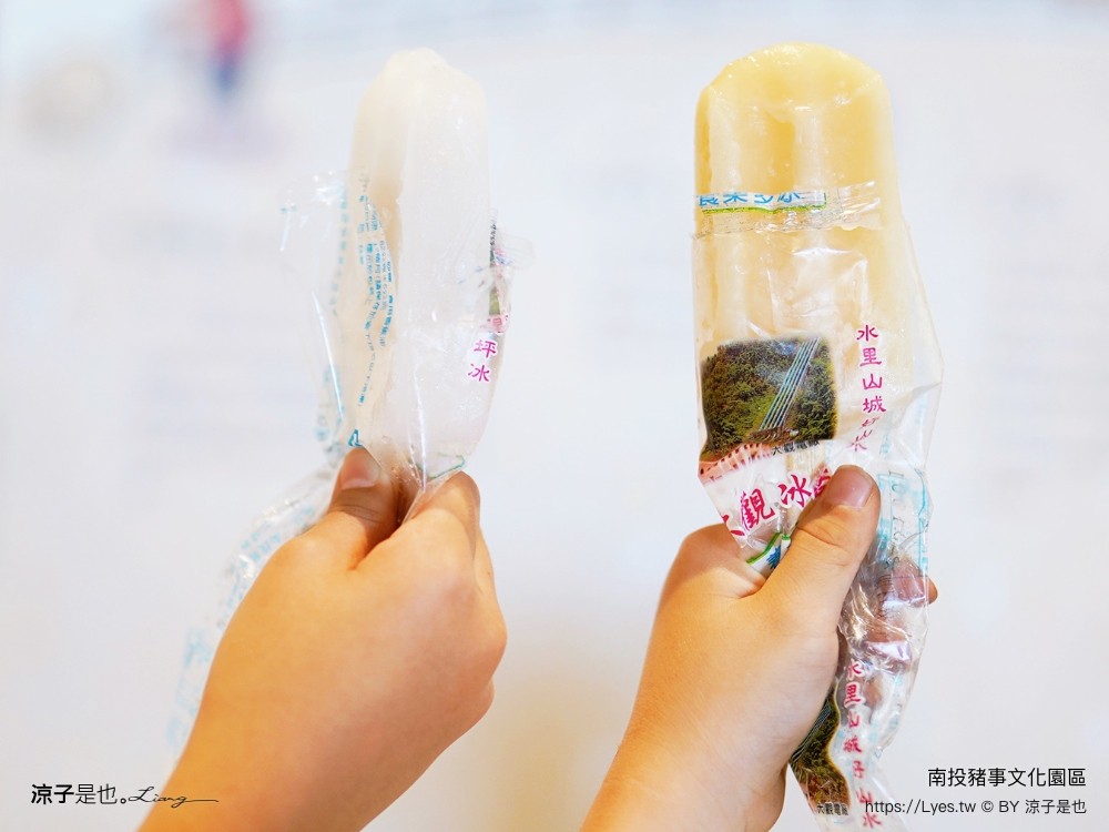 南投名間親子生態園區 南投親子公園 彩虹溜滑梯 盪鞦韆 免門票親子景點 野餐 天空步道 2022重新開幕