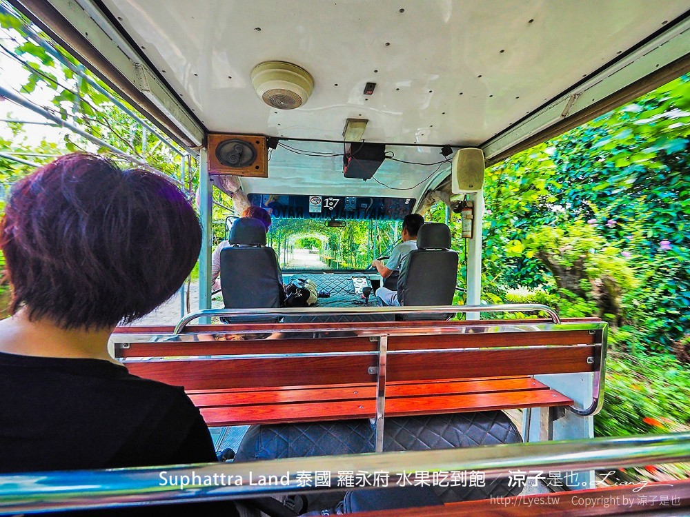 suphattra land 泰國 羅勇府 水果吃到飽