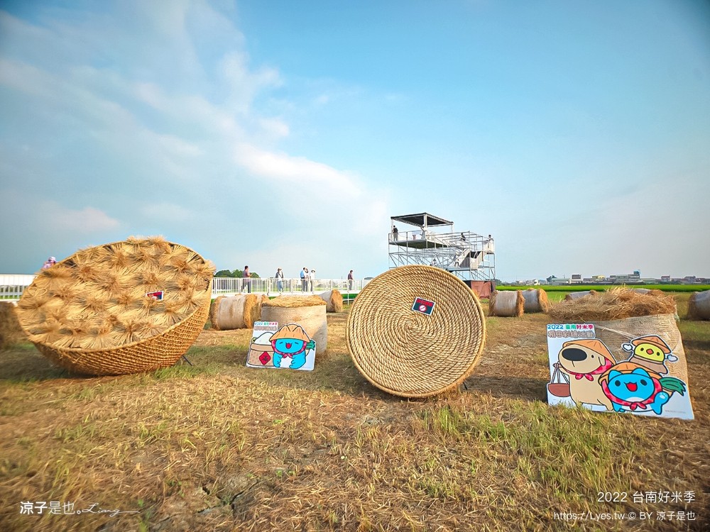 2022台南好米季 台南後壁景點 稻田彩繪 貓貓蟲咖波 稻陣走健走活動 網美打卡 親子景點