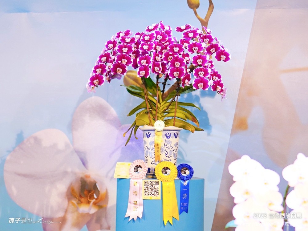 台灣國際蘭展 門票 2023時間 台南景點 魔境 恐龍 親子diy 必看亮點 台南限定蘭花